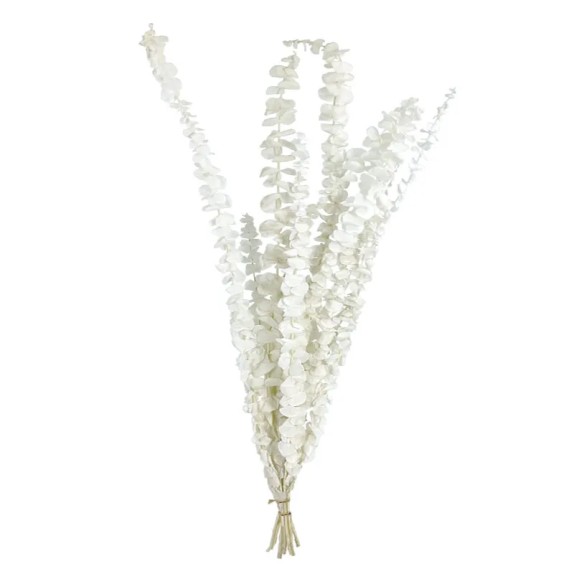 ΚΛΑΔΙ ΕΚΡΟΥ ΕΥΚΑΛΥΠΤΟΣ ΑΠΟΞΗΡΑΜΕΝΟ 10~11 ΤΜΧ/ΜΑΤΣΟ Υ50~60cm, Υ40~50cm ΤΟ ΑΝΘΟΣ - 120/ΚΙΒ – Δημιουργεί αίσθηση πολυτέλειας χωρίς 