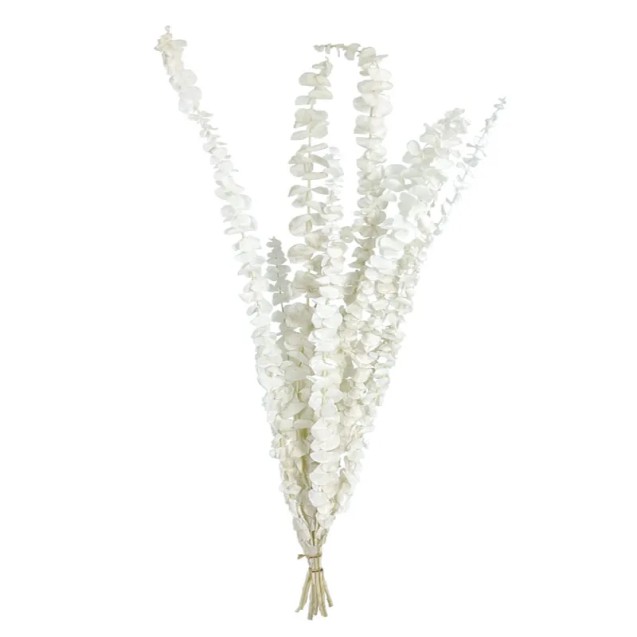 ΚΛΑΔΙ ΕΚΡΟΥ ΕΥΚΑΛΥΠΤΟΣ ΑΠΟΞΗΡΑΜΕΝΟ 10~11 ΤΜΧ/ΜΑΤΣΟ Υ50~60cm, Υ40~50cm ΤΟ ΑΝΘΟΣ - 120/ΚΙΒ – Δημιουργεί αίσθηση πολυτέλειας χωρίς 