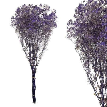 ΚΛΑΔΙ ΛΙΛΑ ΓΥΨΟΦΥΛΛΗ ΑΠΟΞΗΡΑΜΕΝΟ 6~10 ΤΜΧ/ΜΑΤΣΟ Υ70~80cm, 30~40cm ΤΟ ΑΝΘΟΣ- 120/ΚΙΒ – Προσφέρει μοναδική αισθητική | iroots.gr