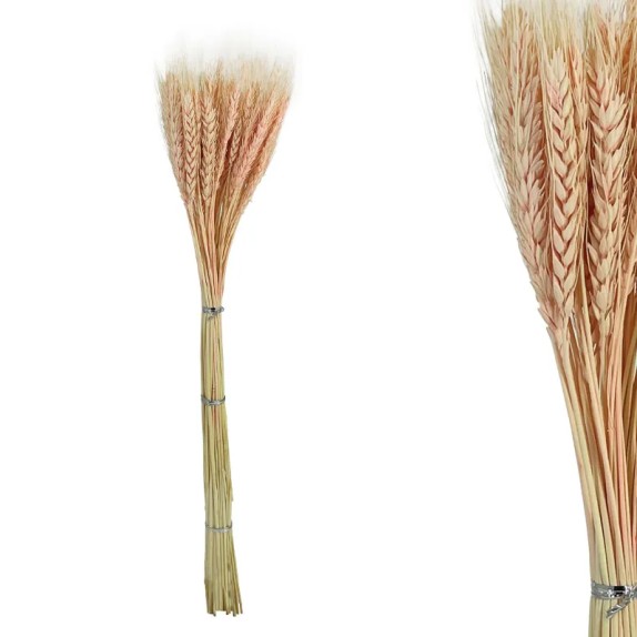 ΚΛΑΔΙ ΡΟΖ ΣΤΑΧΥ ΑΠΟΞΗΡΑΜΕΝΟ 50~60ΤΜΧ/ΜΑΤΣΟ Υ67~77cm, 15~18cm ΤΟ ΑΝΘΟΣ- 120/ΚΙΒ – Προσφέρει μοναδική αισθητική | iroots.gr