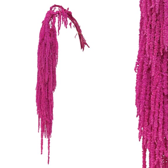 ΚΛΑΔΙ ΦΟΥΞ ΑΜΑΡΑΝΘΟΣ ΑΠΟΞΗΡΑΜΕΝΟ 4~5ΤΜΧ/ΜΑΤΣΟ Υ95~100cm, 70~80cm ΤΟ ΑΝΘΟΣ-70/ΚΙΒ – Δημιουργεί αίσθηση πολυτέλειας χωρίς κόπο | i