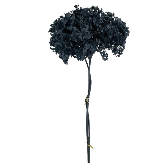 ΚΛΑΔΙ ΓΚΡΙ ΟΡΤΑΝΣΙΑ ΑΠΟΞΗΡΑΜΕΝΟ 1~2TMX/ΜΑΤΣΟ Φ25~27 x Y50~60cm, 42~52cm ΤΟ ΑΝΘΟΣ 30/ΚΙΒ – Προσφέρει μοναδική αισθητική | iroots.