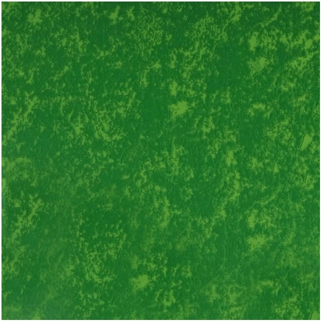 ΡΟΛΟ ΒΑΜΜΕΝΟ ΛΑΧΑΝΙ ΖΕΛΑΤΙΝΑ ΣΥΣΚΕΥΑΣΙΑΣ 0.6x40m 1kg – Δίνει premium χαρακτήρα στο περιβάλλον | iroots.gr