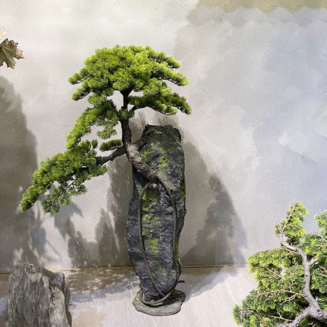 TEXNHTO ΔΕΝΤΡO ΜΠΟΝΣΑΪ ΠΕΥΚΟ ΣΕ ΒΡΑΧΟ - Υ120cm – Δίνει premium χαρακτήρα στο περιβάλλον | iroots.gr