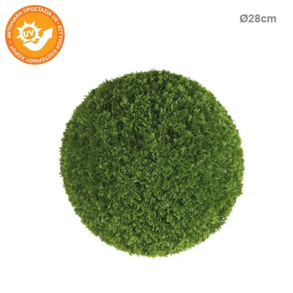 ΜΠΑΛΑ ΠΥΞΑΡΙ ΛΕΜΟΝΟΚΥΠΑΡΙΣΣΟ Φ28cm 6/ΚΙΒ – Προσφέρει μοναδική αισθητική | iroots.gr