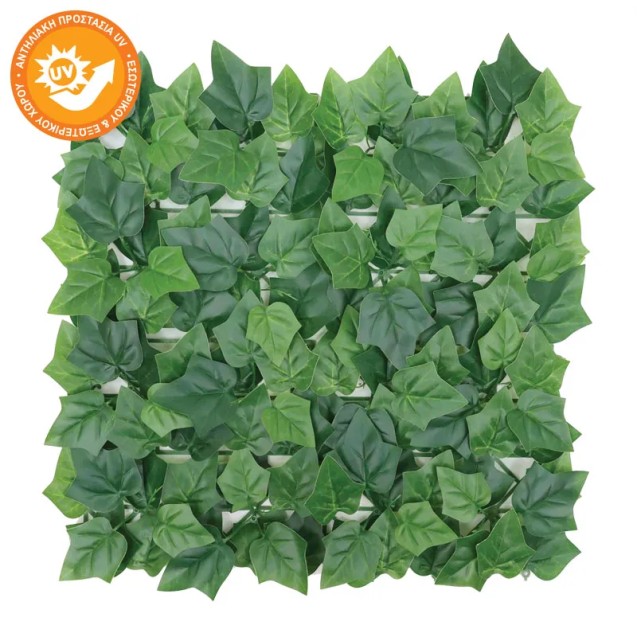 ΠΛΑΚΑΚΙ ΓΚΑΖΟΝ ΦΥΛΛΩΣΙΑΣ ΚΙΣΣΟΣ ΠΛΑΤΥΦΥΛΛΟΣ ΠΡΑΣΙΝΟ - 50x50cm 12/ΚΙΒ – Δίνει premium χαρακτήρα στο περιβάλλον | iroots.gr