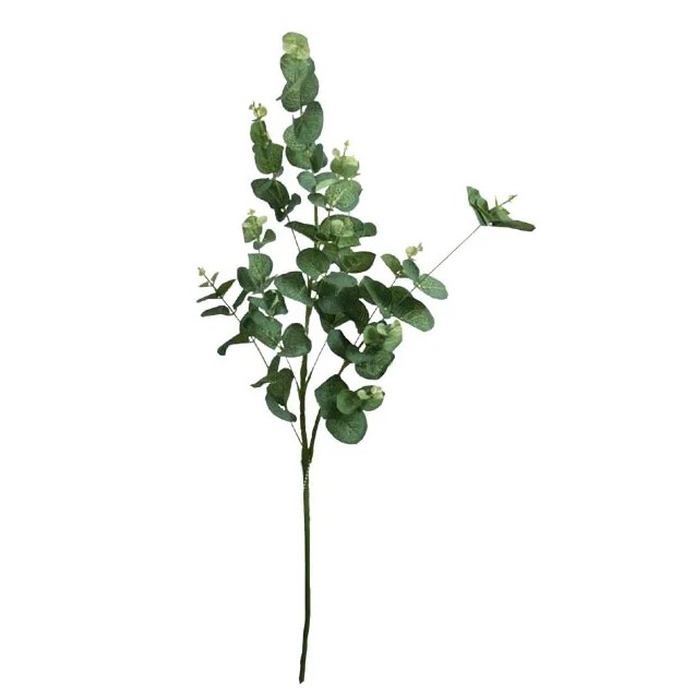 ΚΛΑΔΙ ΕΥΚΑΛΥΠΤΟΣ ΠΡΑΣΙΝΟ Y90cm. 24/192 ΚΙΒ – Δημιουργεί αίσθηση πολυτέλειας χωρίς κόπο | iroots.gr