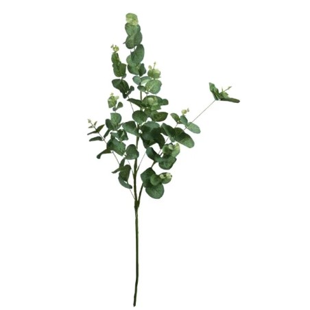 ΚΛΑΔΙ ΕΥΚΑΛΥΠΤΟΣ ΠΡΑΣΙΝΟ Y90cm. 24/192 ΚΙΒ – Δημιουργεί αίσθηση πολυτέλειας χωρίς κόπο | iroots.gr