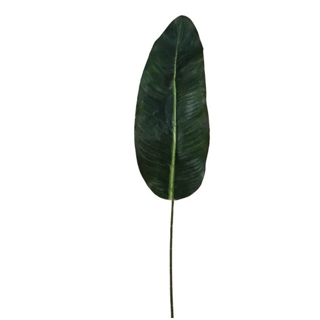 ΠΑΛΜΑ ΦΥΛΛΟ ΚΛΑΔΙ Y80cm. 72/504KIB