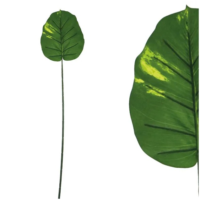 ΚΛΑΔΙ ΦΥΛΛΟ ΠΟΘΟΣ ΠΡΑΣΙΝΟ Υ60cm 48/288ΚΙΒ – Δημιουργεί αίσθηση πολυτέλειας χωρίς κόπο | iroots.gr