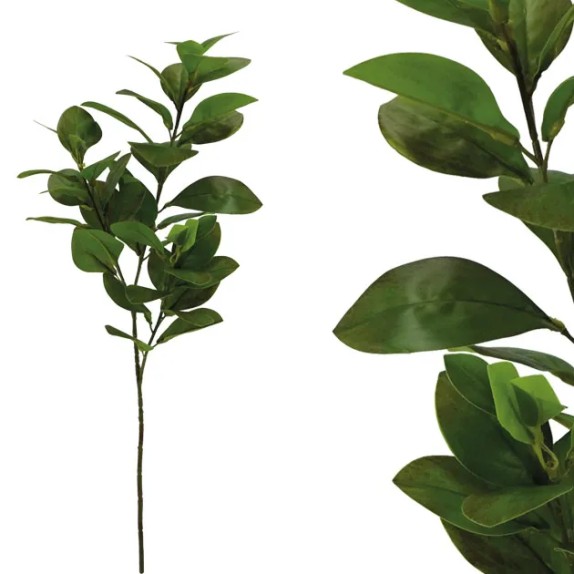 ΚΛΑΔΙ ΦΥΛΛΟ ΓΕΜΙΣΜΑΤΟΣ ΠΡΑΣΙΝΟ/ΚΑΦΕ REAL TOUCH Υ75/40cm 40/240ΚΙΒ – Αναβαθμίζει άμεσα τον χώρο σου | iroots.gr