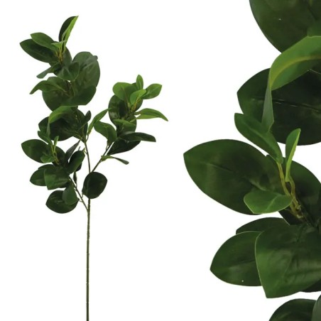 ΚΛΑΔΙ ΦΥΛΛΟ ΓΕΜΙΣΜΑΤΟΣ ΠΡΑΣΙΝΟ REAL TOUCH Υ75/40cm 40/240ΚΙΒ – Αναβαθμίζει άμεσα τον χώρο σου | iroots.gr