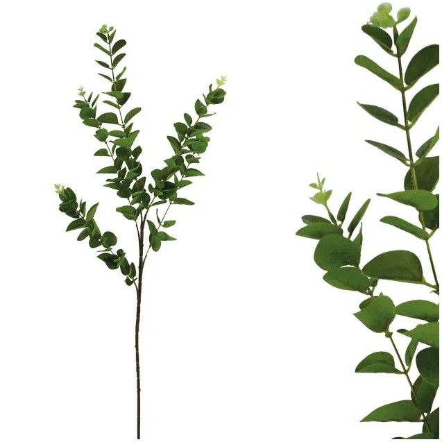 ΚΛΑΔΙ ΔΙΑΚΟΣΜΗΤΙΚΟ ΕΥΚΑΛΥΠΤΟΣ ΠΡΑΣΙΝΟ REAL TOUCH Y97/54cm 40/240ΚΙΒ – Προσφέρει μοναδική αισθητική | iroots.gr