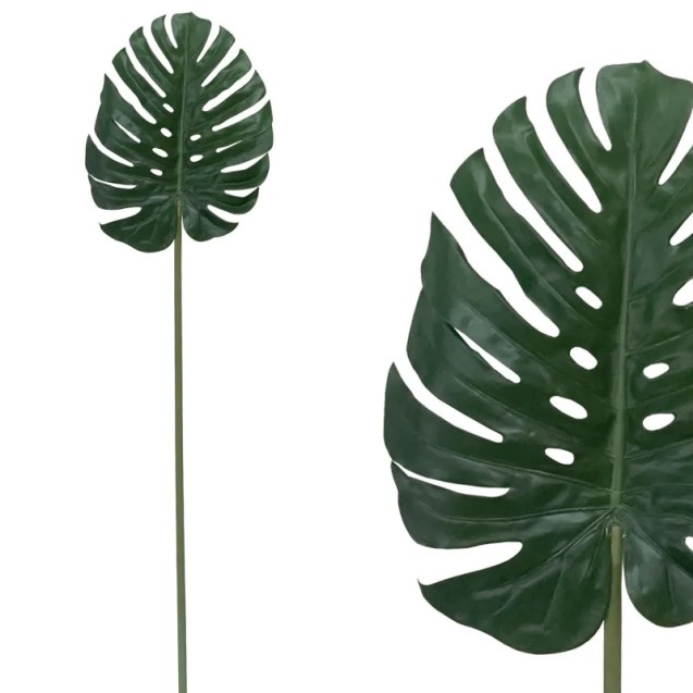 ΚΛΑΔΙ ΦΥΛΛΟ ΜΟΝΣΤΕΡΑ ΠΡΑΣΙΝΟ REAL TOUCH - Y180cm 12/60KIB – Δίνει premium χαρακτήρα στο περιβάλλον | iroots.gr