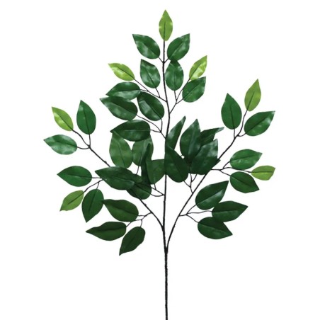 ΚΛΑΔΙ ΦΥΛΛA ΜΠΕΝΖΑΜΙΝ ΠΡΑΣΙΝΟ - Y55cm 1/720ΚΙΒ – Δημιουργεί αίσθηση πολυτέλειας χωρίς κόπο | iroots.gr