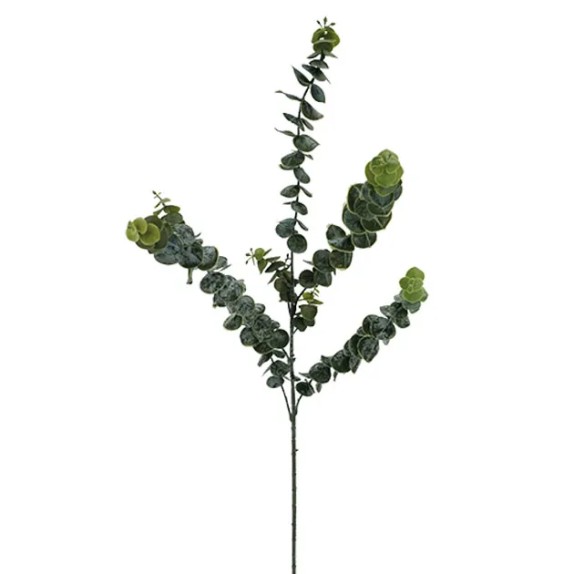 ΚΛΑΔΙ ΕΥΚΑΛΥΠΤΟΣ ΠΡΑΣΙΝΟ Y88cm 36/108ΚΙΒ – Δίνει premium χαρακτήρα στο περιβάλλον | iroots.gr