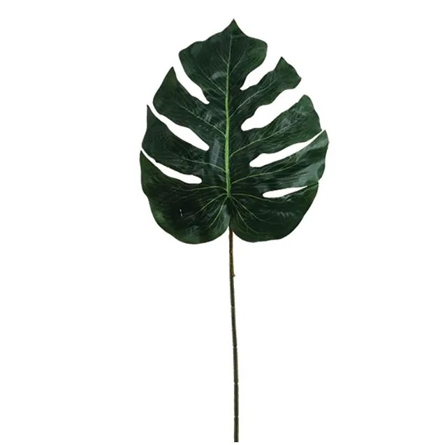 ΣΧΙΣΤΟΦΥΛΛΟ ΚΛΑΔΙ Y70cm. 72/432KIB – Αναβαθμίζει άμεσα τον χώρο σου | iroots.gr