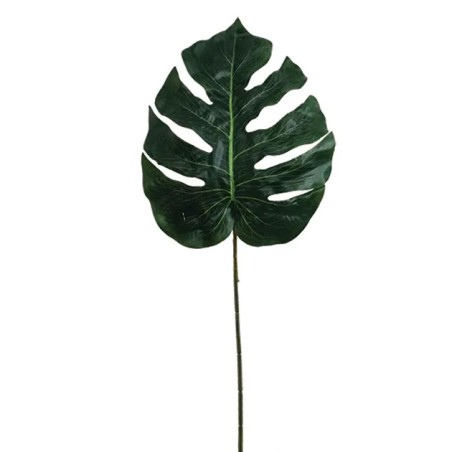 ΣΧΙΣΤΟΦΥΛΛΟ ΚΛΑΔΙ Y70cm. 72/432KIB – Αναβαθμίζει άμεσα τον χώρο σου | iroots.gr