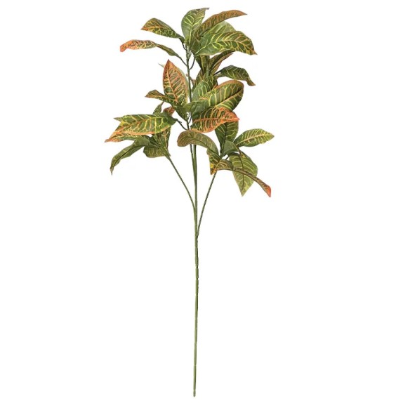 ΚΛΑΔΙ ΚΡΟΤΩΝΑΣ ΠΡΑΣΙΝΟ/ΚΙΤΡΙΝΟ - Υ90cm 12/120ΚΙΒ – Δίνει premium χαρακτήρα στο περιβάλλον | iroots.gr