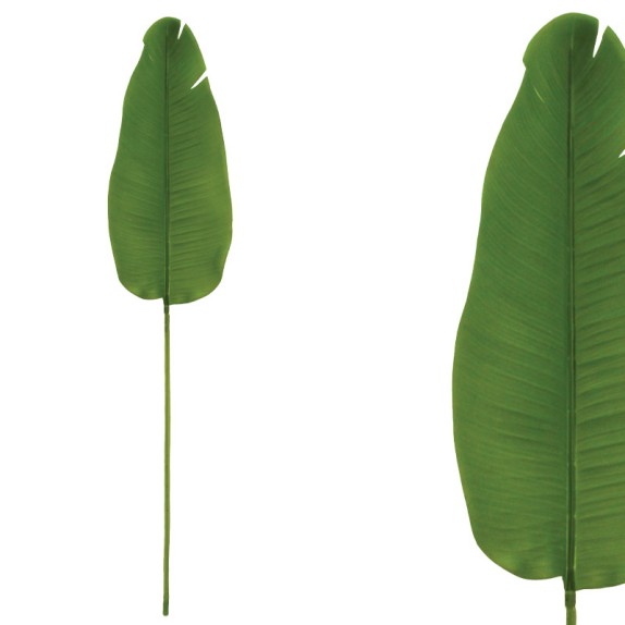 ΔΙΑΚΟΣΜΗΤΙΚΟ ΚΛΑΔΙ ΦΥΛΛΟ ΣΤΡΕΛΙΤΣΙΑ REAL TOUCH ΠΡΑΣΙΝΟ - 20x100cm 48/288ΚΙΒ – Αναβαθμίζει άμεσα τον χώρο σου | iroots.gr