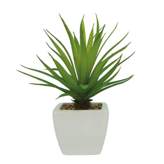 ΚΑΚΤΟΣ ΣΕ ΚΕΡΑΜΙΚΟ ΛΕΥΚΟ ΚΑΣΠΩ - Υ20cm 6/72ΚΙΒ – Δίνει premium χαρακτήρα στο περιβάλλον | iroots.gr