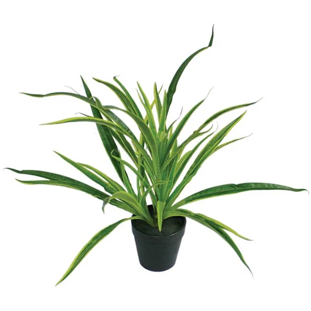 ΦΥΤΟ ΑΡΑΧΝΗ REAL TOUCH ΣΕ ΠΛΑΣΤΙΚΗ ΓΛΑΣΤΡΑ - Y43cm 6/36ΚΙΒ – Δημιουργεί αίσθηση πολυτέλειας χωρίς κόπο | iroots.gr