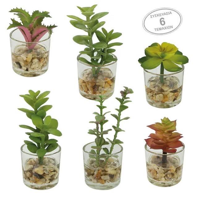 MINI ΚΑΚΤΑΚΙΑ MIX ΣΕ ΓΥΑΛΙΝΟ ΚΑΣΠΩ ΣΕΤ/6 - 5x12cm 6/16ΚΙΒ – Ταιριάζει σε κάθε μοντέρνο ή επαγγελματικό χώρο | iroots.gr