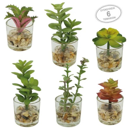 MINI ΚΑΚΤΑΚΙΑ MIX ΣΕ ΓΥΑΛΙΝΟ ΚΑΣΠΩ ΣΕΤ/6 - 5x12cm 6/16ΚΙΒ – Ταιριάζει σε κάθε μοντέρνο ή επαγγελματικό χώρο | iroots.gr
