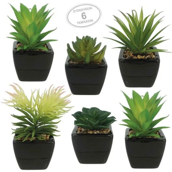 ΚΑΚΤΑΚΙΑ ΣΕΤ/6 ΣΕ ΜΑΥΡΟ ΚΕΡΑΜΙΚΟ ΓΛΑΣΤΡΑΚΙ 6x6x17cm 6/KIB – Ταιριάζει σε κάθε μοντέρνο ή επαγγελματικό χώρο | iroots.gr