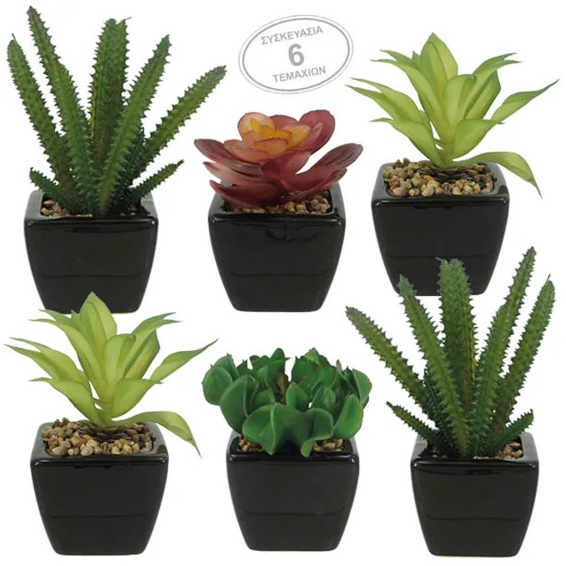 ΚΑΚΤΑΚΙΑ SET/6 ΣΕ ΚΕΡΑΜΙΚΟ ΜΑΥΡΟ ΓΛΑΣΤΡΑΚΙ 6x6x15cm 6/KIB