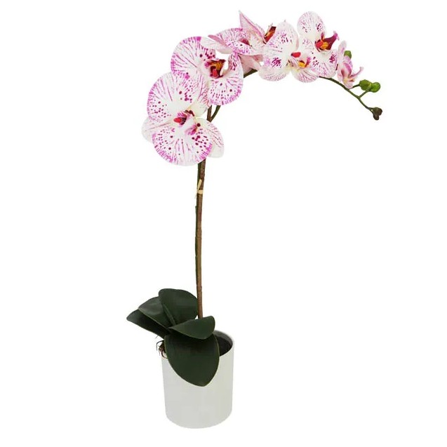 ΟΡΧΙΔΕΑ ΛΕΥΚΟ/ΡΟΖ REAL TOUCH ΣΕ ΚΑΣΠΩ Y47cm 6/36ΚΙΒ – Δίνει premium χαρακτήρα στο περιβάλλον | iroots.gr