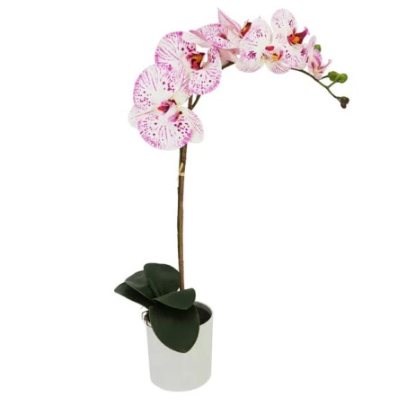 ΟΡΧΙΔΕΑ ΛΕΥΚΟ/ΡΟΖ REAL TOUCH ΣΕ ΚΑΣΠΩ Y47cm 6/36ΚΙΒ – Δίνει premium χαρακτήρα στο περιβάλλον | iroots.gr