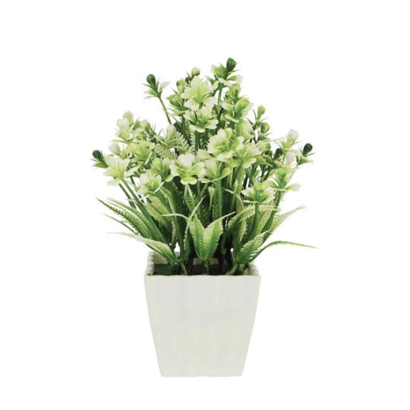 ΛΟΥΛΟΥΔΙ ΛΕΥΚΟ ΣΕ ΓΛΑΣΤΡΑΚΙ 8x21cm 1/120KIB – Αναβαθμίζει άμεσα τον χώρο σου | iroots.gr