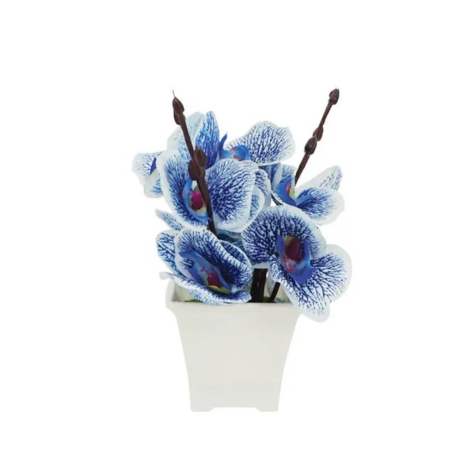 ΛΟΥΛΟΥΔΙ ΜΠΛΕ ΣΕ ΓΛΑΣΤΡΑΚΙ 7x19cm 1/144KIB – Δημιουργεί αίσθηση πολυτέλειας χωρίς κόπο | iroots.gr