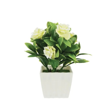 ΛΟΥΛΟΥΔΙ ΛΕΥΚΟ ΣΕ ΓΛΑΣΤΡΑΚΙ 7x16cm 1/192KIB – Ταιριάζει σε κάθε μοντέρνο ή επαγγελματικό χώρο | iroots.gr