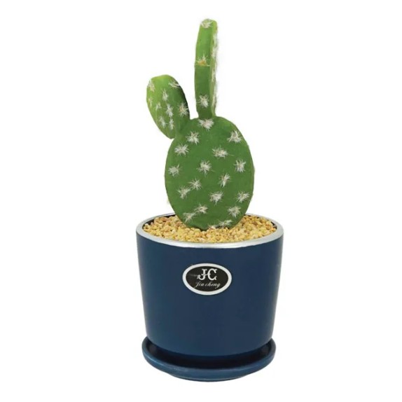 ΚΑΚΤΟΣ-ΟΠΟΥΝΤΙΑ ΣΕ ΚΑΣΠΩ ΜΕ ΠΙΑΤΟ Φ11x24cm 1/48ΚΙΒ – Δίνει premium χαρακτήρα στο περιβάλλον | iroots.gr