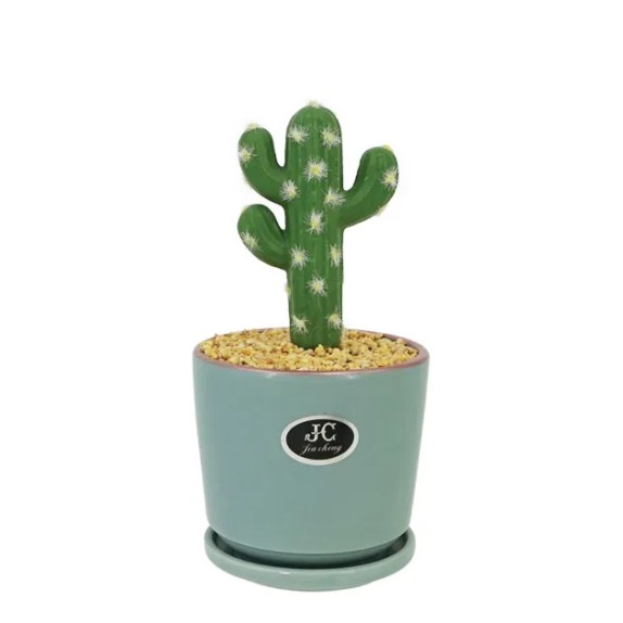 ΚΑΚΤΟΣ-ΤΡΙΧΟΚΥΡΕΥΣ ΣΕ ΚΑΣΠΩ ΜΕ ΠΙΑΤΟ Φ11x24cm 1/48ΚΙΒ – Δίνει premium χαρακτήρα στο περιβάλλον | iroots.gr