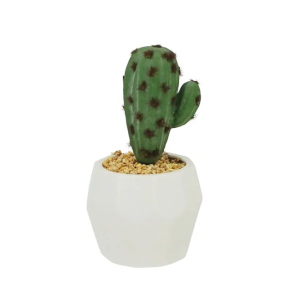 ΚΑΚΤΟΣ-ΜΥΡΤΙΛΛΟΚΑΚΤΟΣ ΣΕ ΚΑΣΠΩ ΠΟΛΥΓΩΝΟ 9.5x20cm 1/48KIB – Δίνει premium χαρακτήρα στο περιβάλλον | iroots.gr