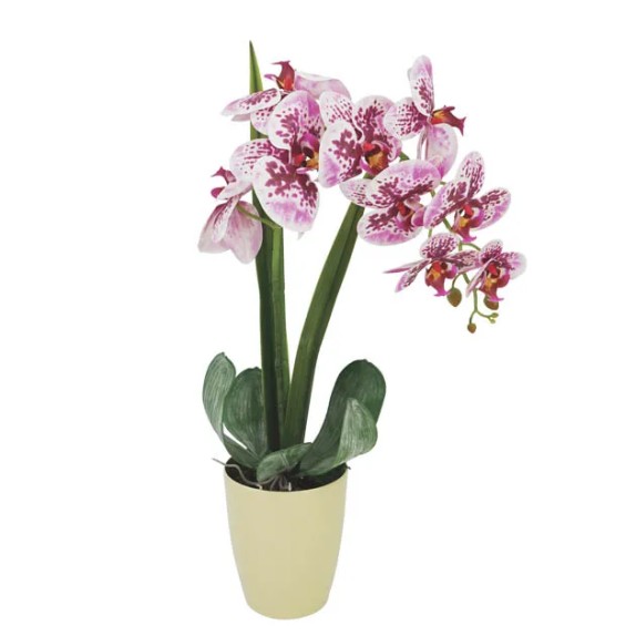 ΜΩΒ/ΡΟΖ ΣΥΝΘΕΣΗ ME ΟΡΧΙΔΕΑ ΣΕ ΠΛΑΣΤΙΚΟ ΚΑΣΠΩ - Y67cm – Αναβαθμίζει άμεσα τον χώρο σου | iroots.gr