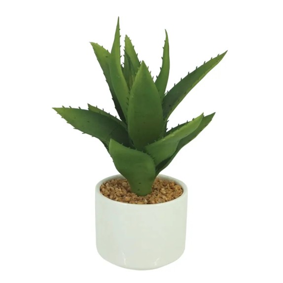 ΑΛΟΗ ΜΙΝΙ ΣΕ ΚΕΡΑΜΙΚΟ ΛΕΥΚΟ ΚΑΣΠΩ - Y21cm 6/72ΚΙΒ – Προσφέρει μοναδική αισθητική | iroots.gr