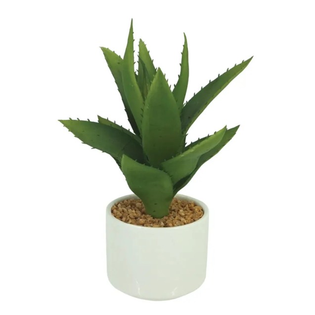 ΑΛΟΗ ΜΙΝΙ ΣΕ ΚΕΡΑΜΙΚΟ ΛΕΥΚΟ ΚΑΣΠΩ - Y21cm 6/72ΚΙΒ – Προσφέρει μοναδική αισθητική | iroots.gr