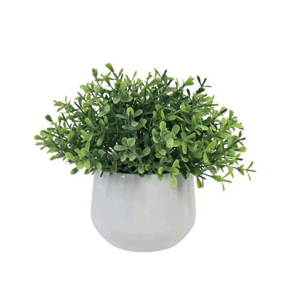 ΓΛΑΣΤΡΑΚΙ ΠΡΑΣΙΝΑΔΑΣ ΓΚΡΑΣΣ - Υ17cm 6/12ΚΙΒ – Προσφέρει μοναδική αισθητική | iroots.gr