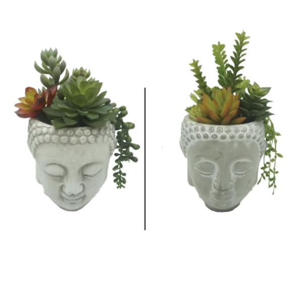 ΠΑΧΥΦΥΤΑ ΣΕ ΠΗΛΙΝΟ ΚΑΣΠΩ ΒΟΥΔΑΣ ΓΚΡΙ - 2 ΣΧΕΔΙΑ ASS - Φ12x20cm 4/24ΚΙΒ – Ταιριάζει σε κάθε μοντέρνο ή επαγγελματικό χώρο | iroot