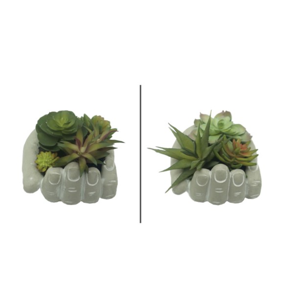 ΠΑΧΥΦΥΤΑ ΣΕ ΠΗΛΙΝΟ ΚΑΣΠΩ ΧΕΡΙ ΓΚΡΙ - 2 ΣΧΕΔΙΑ ASS - Φ13x13cm 4/24ΚΙΒ – Δίνει premium χαρακτήρα στο περιβάλλον | iroots.gr