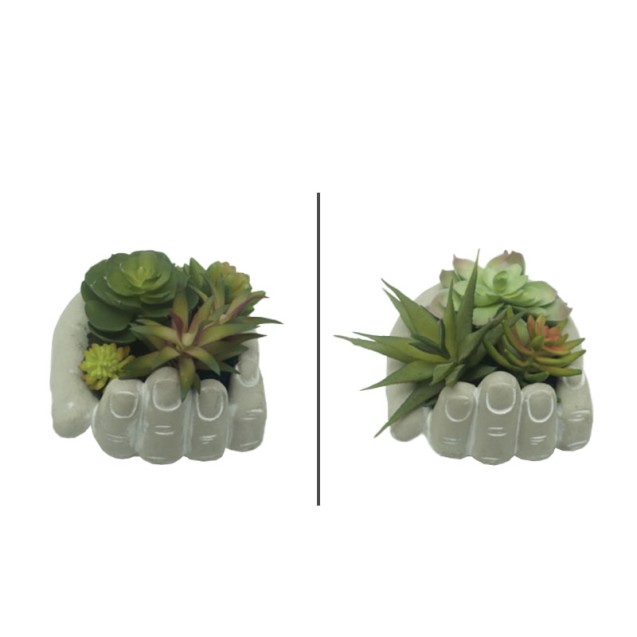 ΠΑΧΥΦΥΤΑ ΣΕ ΠΗΛΙΝΟ ΚΑΣΠΩ ΧΕΡΙ ΓΚΡΙ - 2 ΣΧΕΔΙΑ ASS - Φ13x13cm 4/24ΚΙΒ – Δίνει premium χαρακτήρα στο περιβάλλον | iroots.gr