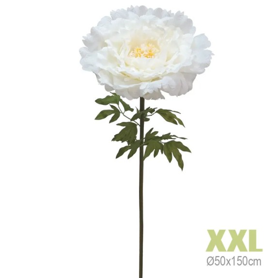 ΚΛΑΔΙ ΠΑΙΩΝΙΑ ΕΚΡΟΥ ΓΙΓΑΣ XXL - Φ50x150cm 8/KIB – Δημιουργεί αίσθηση πολυτέλειας χωρίς κόπο | iroots.gr