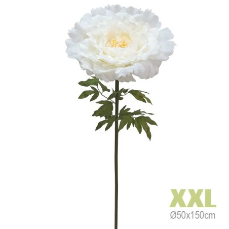 ΚΛΑΔΙ ΠΑΙΩΝΙΑ ΕΚΡΟΥ ΓΙΓΑΣ XXL - Φ50x150cm 8/KIB – Δημιουργεί αίσθηση πολυτέλειας χωρίς κόπο | iroots.gr