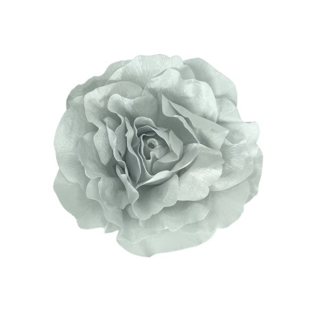 ΚΡΕΜΑΣΤΟ ΤΡΙΑΝΤΑΦΥΛΛΟ ΑΣΗΜΙ ΒΕΛΟΥΔΙΝΟ ΓΙΓΑΣ XL-Φ45x18cm 12/KIB – Δίνει premium χαρακτήρα στο περιβάλλον | iroots.gr