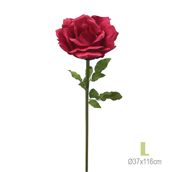 ΚΛΑΔΙ ΤΡΙΑΝΤΑΦΥΛΛΟ ΚΟΚΚΙΝΟ ΓΙΓΑΣ L - Φ37x116 12/ΚΙΒ – Προσφέρει μοναδική αισθητική | iroots.gr