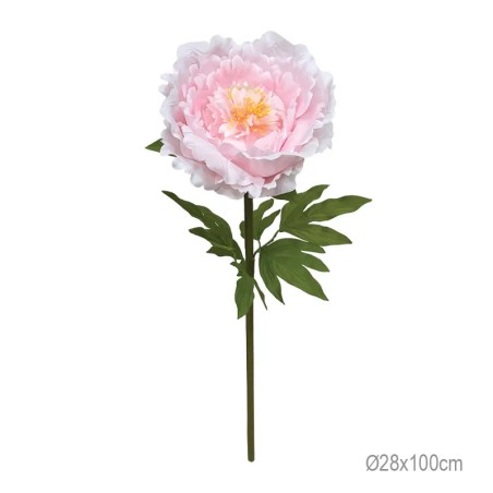 ΚΛΑΔΙ ΠΑΙΩΝΙΑ ΡΟΖ ΓΙΓΑΣ - Φ28x100cm 12/ΚΙΒ – Προσφέρει μοναδική αισθητική | iroots.gr